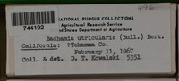 Image Associated With the Occurence